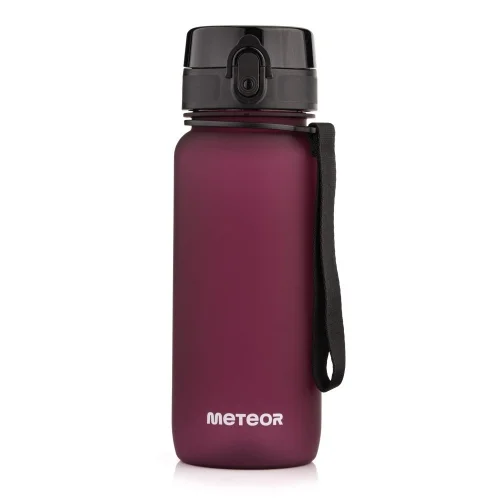 Bidon Sportowy Meteor 650 ml Borowy Sprawdź teraz