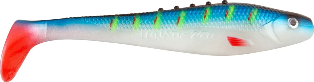 Darmowa dostawa Guma DRAGON V-Lures LUNATIC 4/10cm Scratched Fish