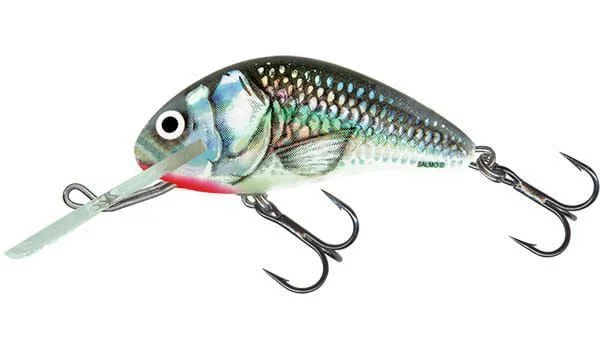 Nowość SALMO HORNET 4cm 4g HOLO. GREY SHINER SINK
