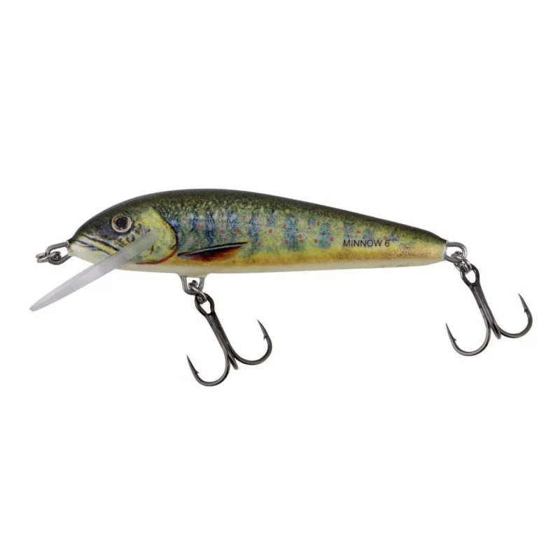 Tylko do końca tygodnia Wobler Salmo Minnow 5cm Floating - Lake Charr