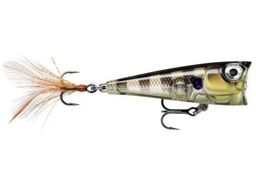 Darmowa dostawa Wobler Rapala X-Light Pop 4cm 4.5g GGIU