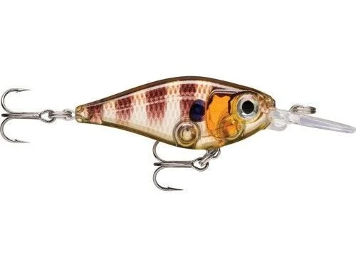 Kup teraz Wobler Rapala X-Light Shad 4cm 4g GGIU