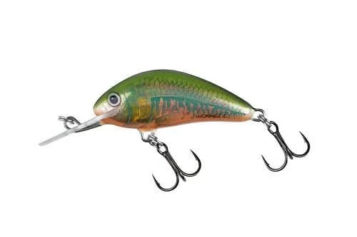 Bezpieczne zakupy Wobler Salmo Hornet Floating 4cm Holo Oikawa