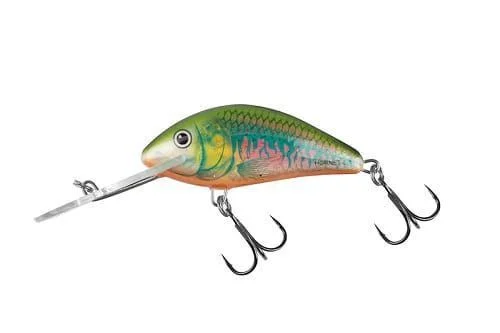 Wobler Salmo Hornet Floating 6cm Holo Oikawa Oferta limitowana