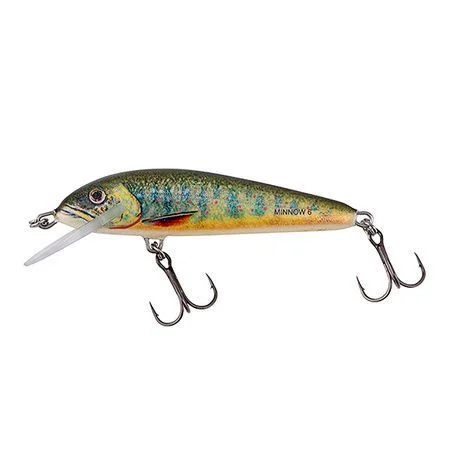 Wobler Salmo Minnow Sinking 5 cm 5 g LAKE CHARR Premium