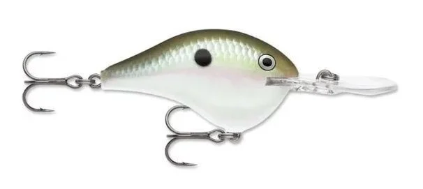 Nowość Wobler Rapala DT Dives-To Series 7cm 25g Green Gizzard Shad