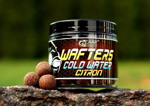 Tani Kulki Wafters CitronCarp Gravity 15mm