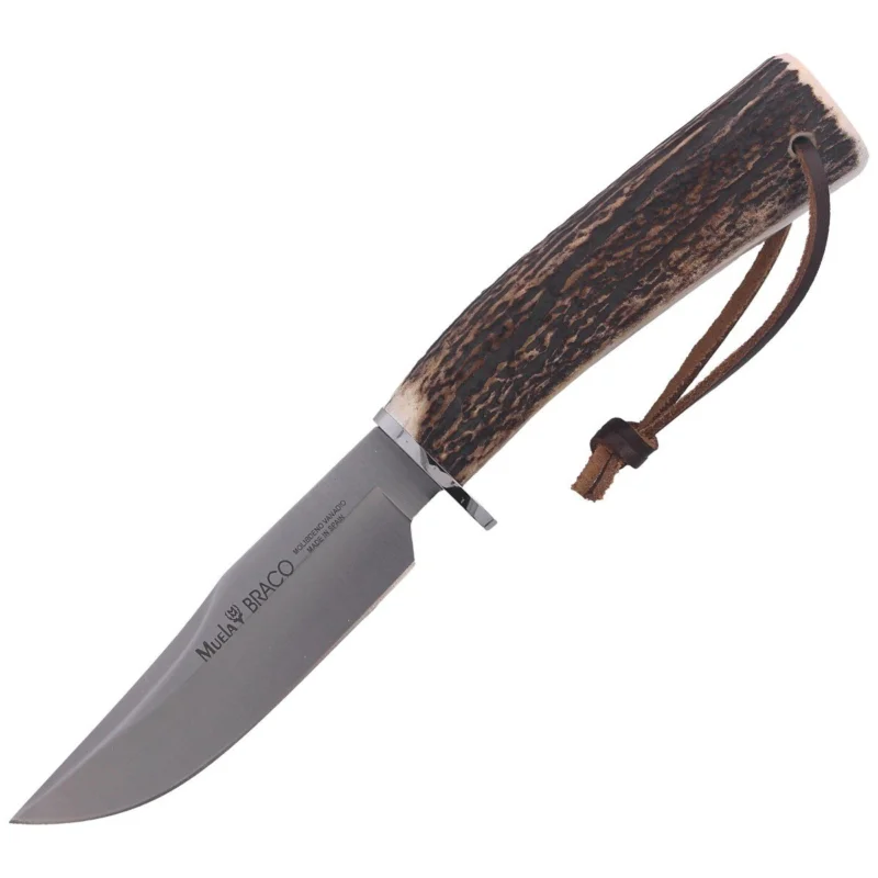 Nóż Muela Braco-11A Deer Stag, Satin X50CrMoV15 Darmowa dostawa