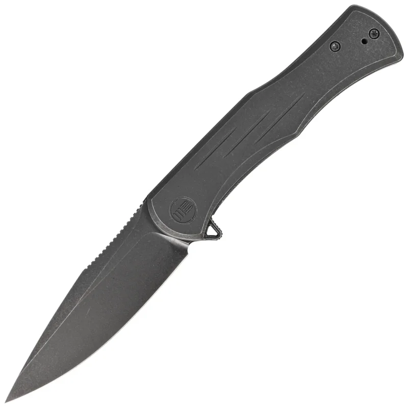 Zamów dziś Nóż składany WE Knife Primoris Black Titanium, Black Stonewashed (WE20047A-3)