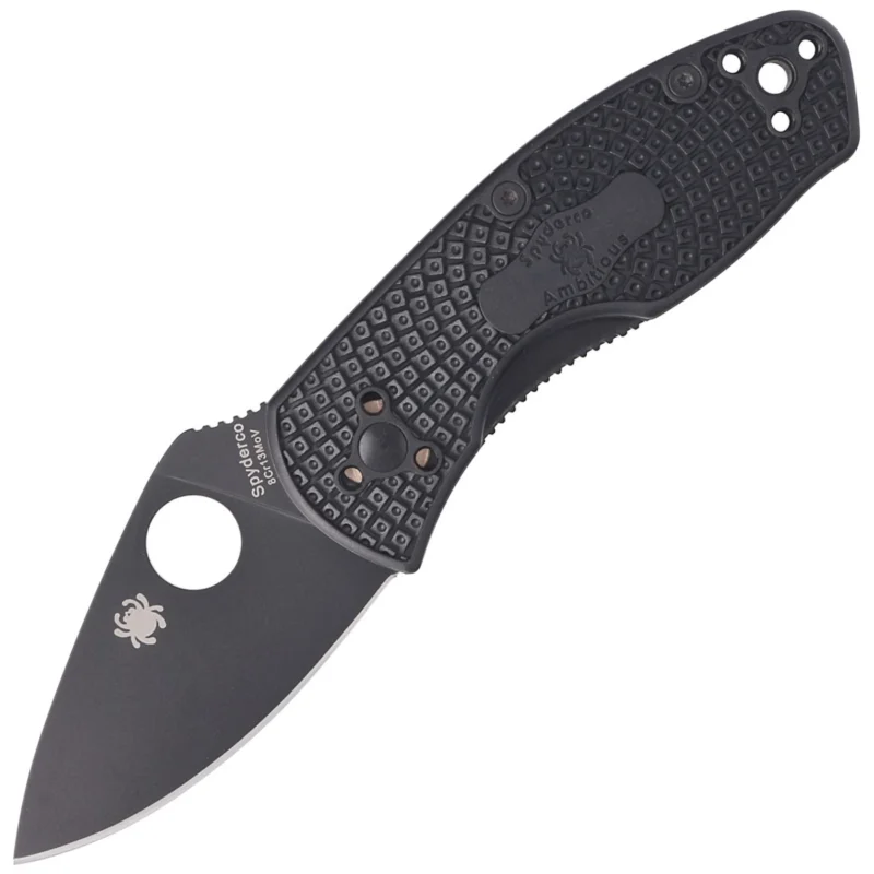 Spyderco Ambitious Black FRN, Black Blade 8Cr13MoV (C148PBBK) Tani