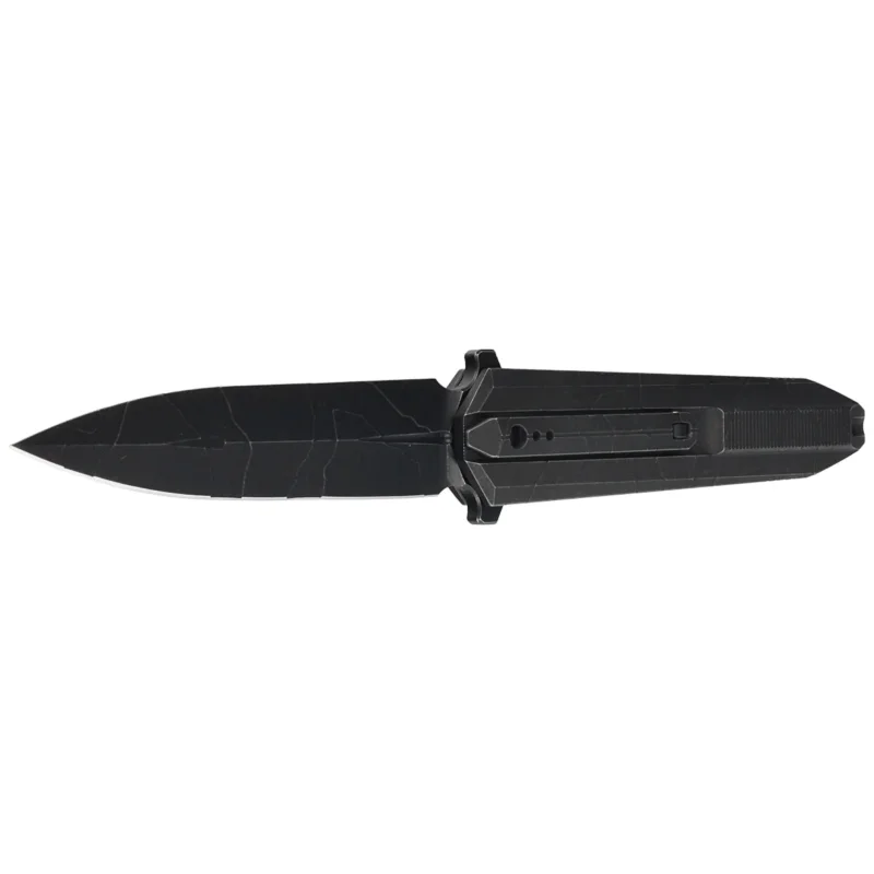 WE Knife Diatomic Pattern Black Stonewashed Titanium, Pattern Black Stonewashed CPM 20CV (WE22032-4) Cena promocyjna