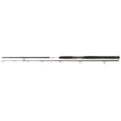 Bestseller Wędka Fox Rage Catfish Spin 2,60m 120-200g