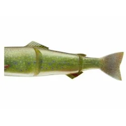 Dodaj do koszyka Zapasowy ogon do przynęty Daiwa Prorex Hybrid Trout 23cm, Live Char