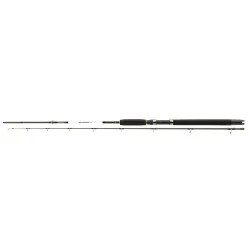 Wędka Daiwa Accudepth Trolling - 2,10m 8-18lb Najlepsza cena