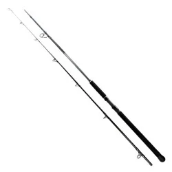 Wędka Shimano Beastmaster Catfish Lure - 2,70m do 200g Oferta