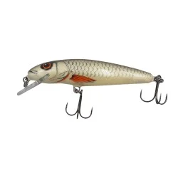 Wobler Salmo Minnow Floating 5cm/3g, Dace Najlepsza cena