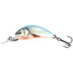 Sprawdź teraz Wobler Salmo Hornet Sinking, Dace Blue
