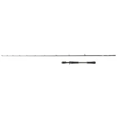 Tani Wędka Abu Garcia Beast X Casting - 2,23m 40-120g