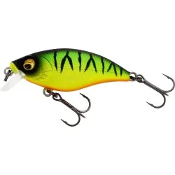 Wybór klientów Wobler Westin BuzzBite SR Crankbait Low Floating 4cm/4g, Firetiger