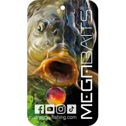 Zawieszka zapachowa Dragon Megabaits Karp Czarna - Forest Okazja